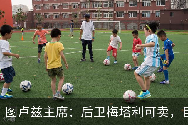 图卢兹主席：后卫梅塔利可卖，目前与桑德兰没有达成协议